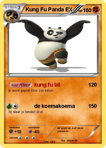 Pokemon Kung Fu Panda EX