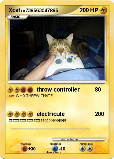 Pokemon Xcat