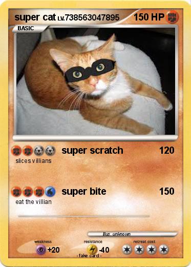 Pokemon super cat