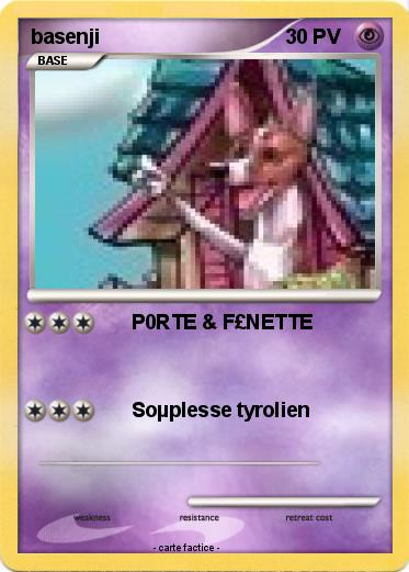 Pokemon basenji