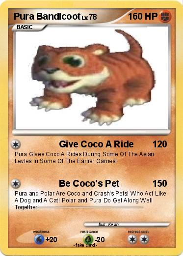 Pokemon Pura Bandicoot