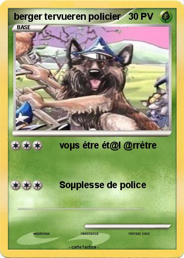 Pokemon berger tervueren policier