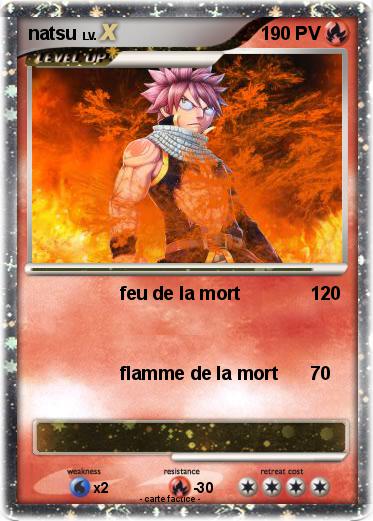 Pokemon natsu