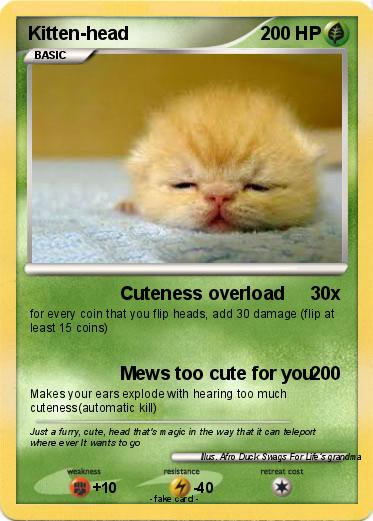 Pokemon Kitten-head