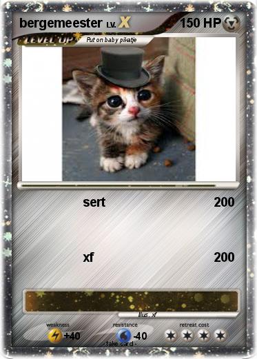 Pokemon bergemeester