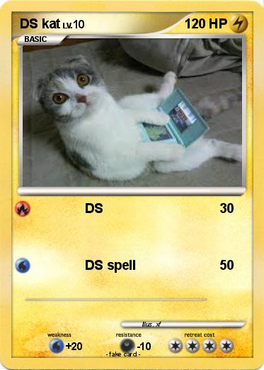 Pokemon DS kat