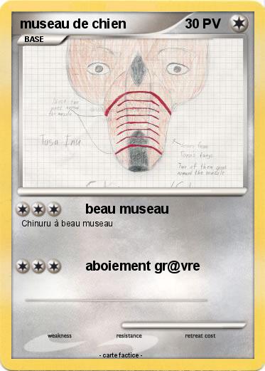 Pokemon museau de chien