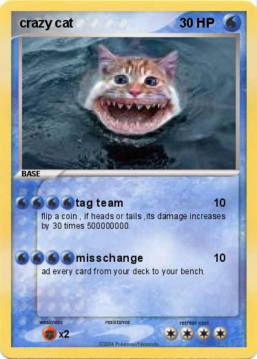 Pokemon crazy cat
