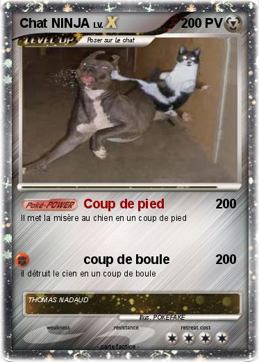 Pokemon Chat NINJA