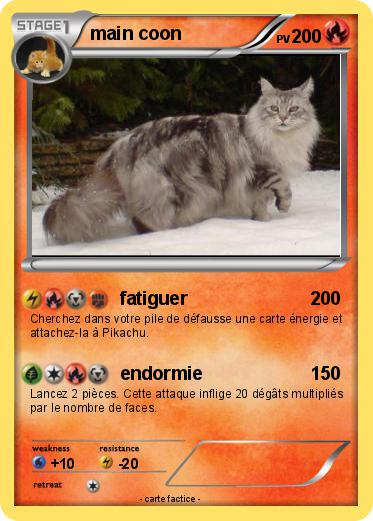 Pokemon main coon