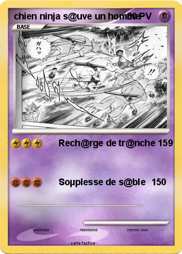 Pokemon chien ninja s@uve un homme