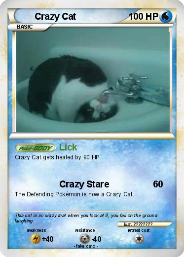 Pokemon Crazy Cat