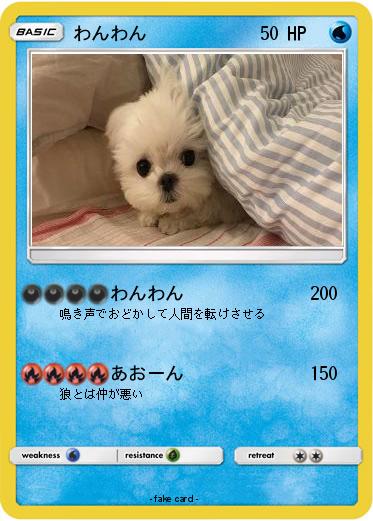 Pokemon わんわん
