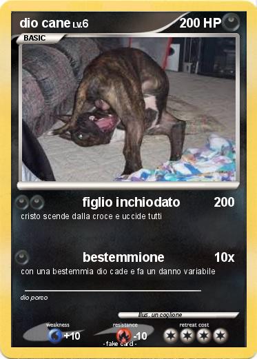 Pokémon dio cane - figlio inchiodato - My Pokemon Card