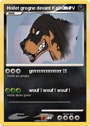 Pokemon Hoilet grogne devant Kaibutsu