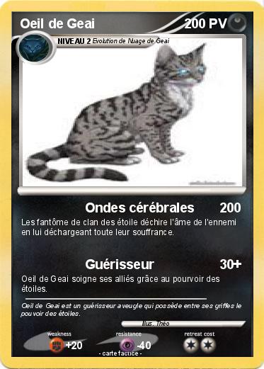 Pokemon Oeil de Geai