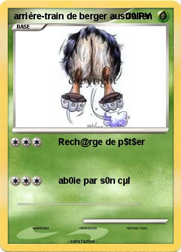 Pokemon arrière-train de berger australien