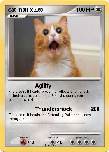 Pokemon cat man x