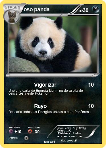 Pokemon oso panda