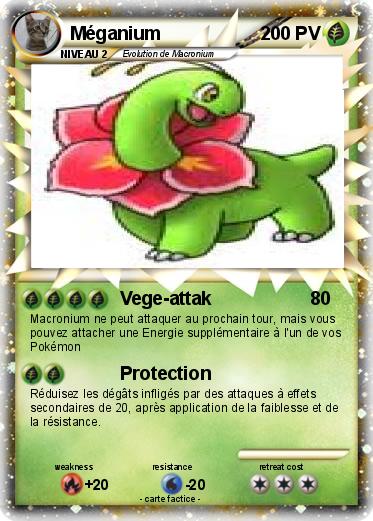 Pokemon Méganium