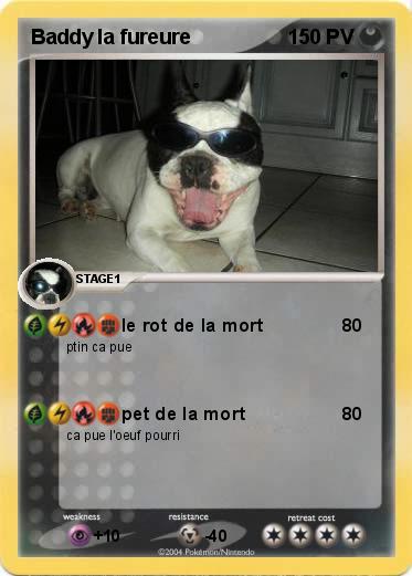 Pokemon Baddy la fureure