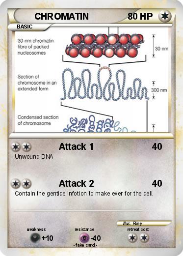 Pokemon CHROMATIN