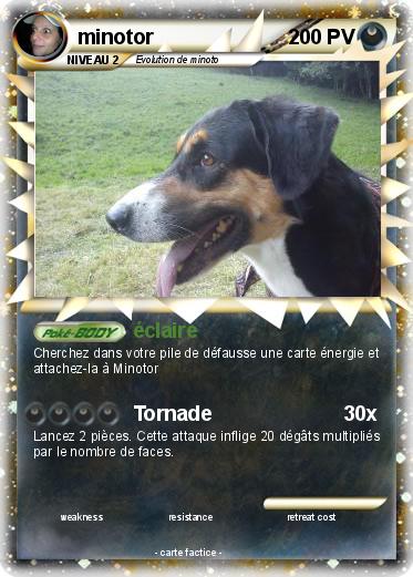 Pokemon minotor