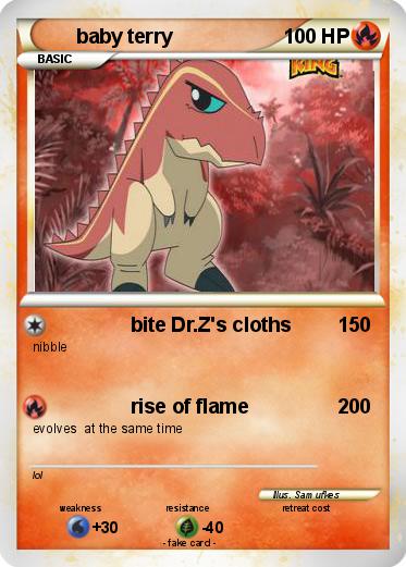 Pokemon baby terry