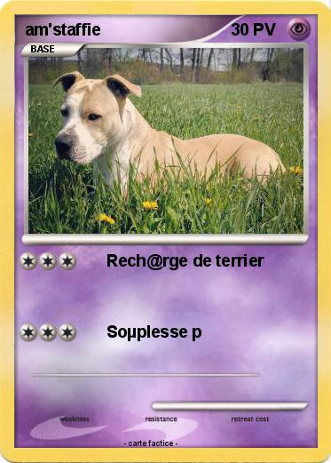 Pokemon am'staffie