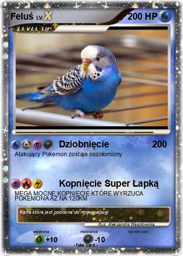 Pokemon Feluś