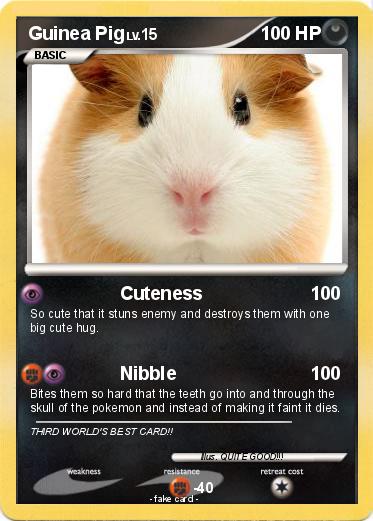 Pokemon Guinea Pig