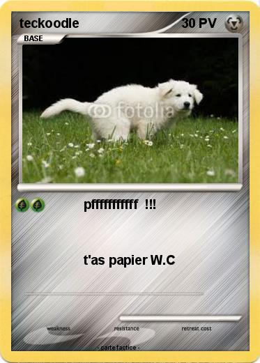 Pokemon teckoodle