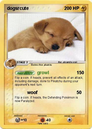 Pokemon dogsrcute
