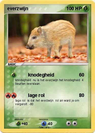Pokemon everzwijn
