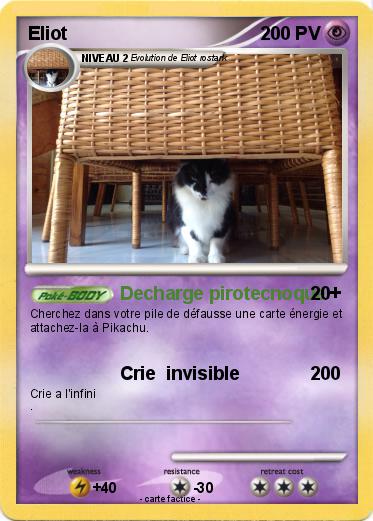 Pokemon Eliot
