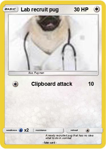 Pokemon Lab recruit pug