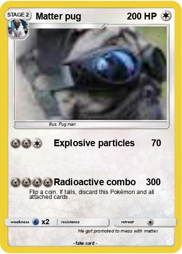 Pokemon Matter pug