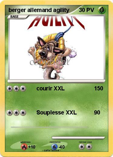 Pokemon berger allemand agility