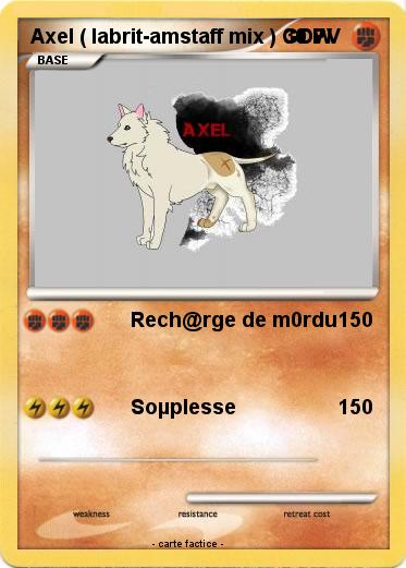 Pokemon Axel ( labrit-amstaff mix ) GDW