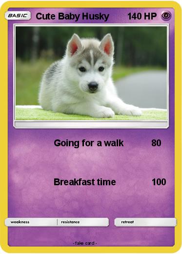 Pokemon Cute Baby Husky