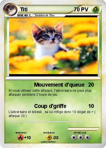 Pokemon Titi