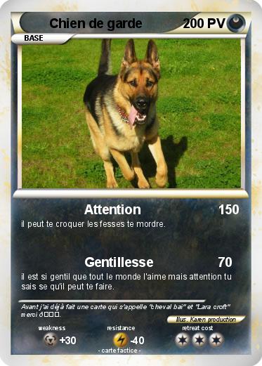 Pokemon Chien de garde