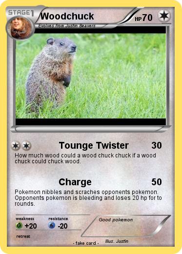 Pokemon Woodchuck
