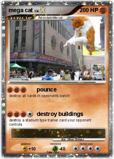 Pokemon mega cat