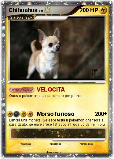 Pokemon Chihuahua