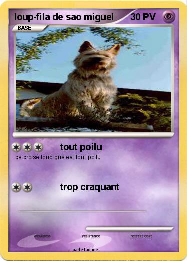 Pokemon loup-fila de sao miguel