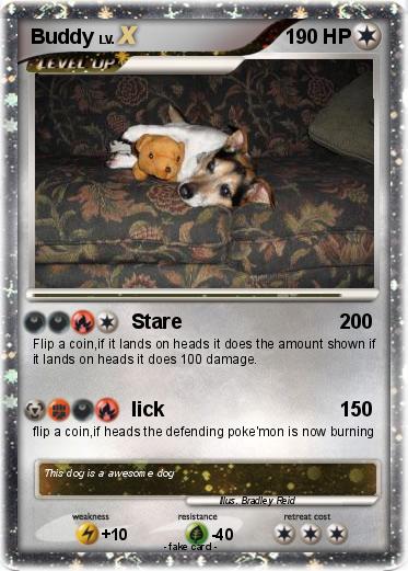 Pokemon Buddy
