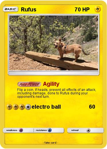 Pokemon Rufus