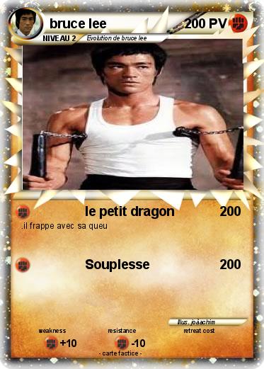 Pokemon bruce lee