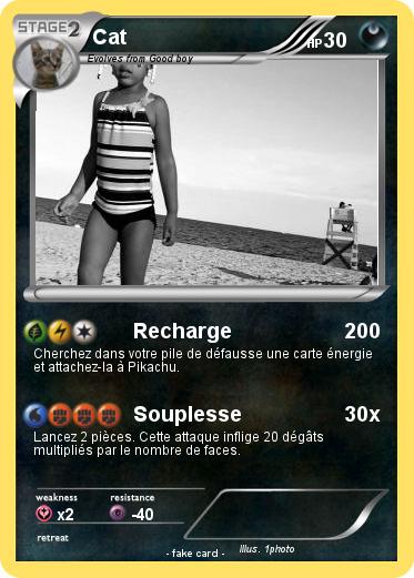 Pokemon Cat